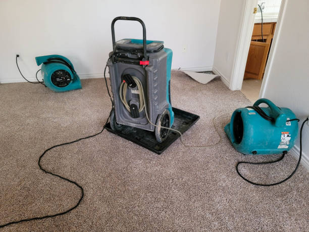 Best Water damage cleanup near me  in Breckinridge Center, KY