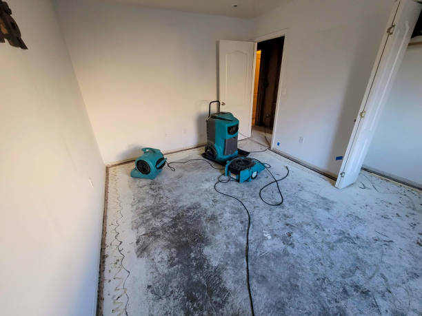 Best Local water damage restoration  in Breckinridge Center, KY