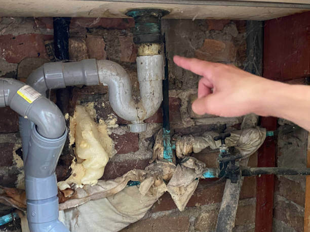 Best Mold removal after water damage  in Breckinridge Center, KY