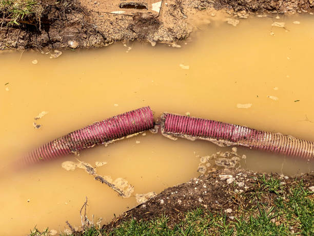 Reliable Breckinridge Center, KY Water damage restoration Solutions