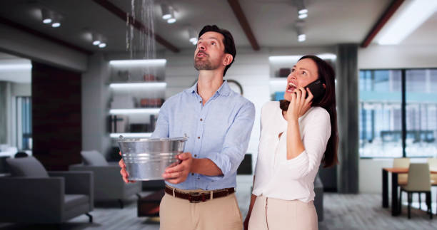 Best Water damage restoration near me  in Breckinridge Center, KY