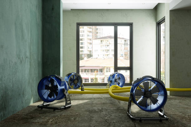 Best Professional water damage repair  in Breckinridge Center, KY
