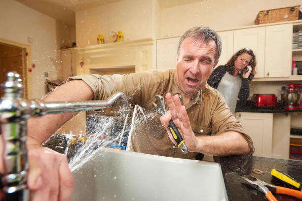 Best Local water damage restoration  in Breckinridge Center, KY